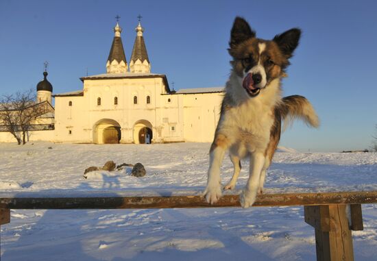 Russia. Vologda region