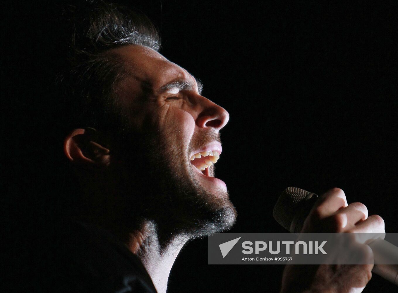 Maroon 5 group in concert