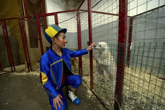 Touring circus of midgets "Glow Little Stars"