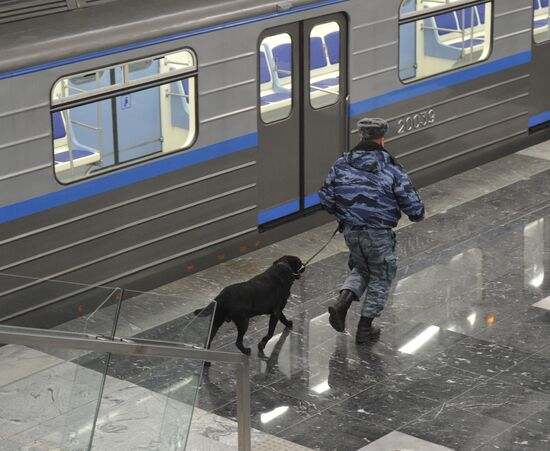 Borisovo, Shipilovskaya and Zyablikovo metro stations open