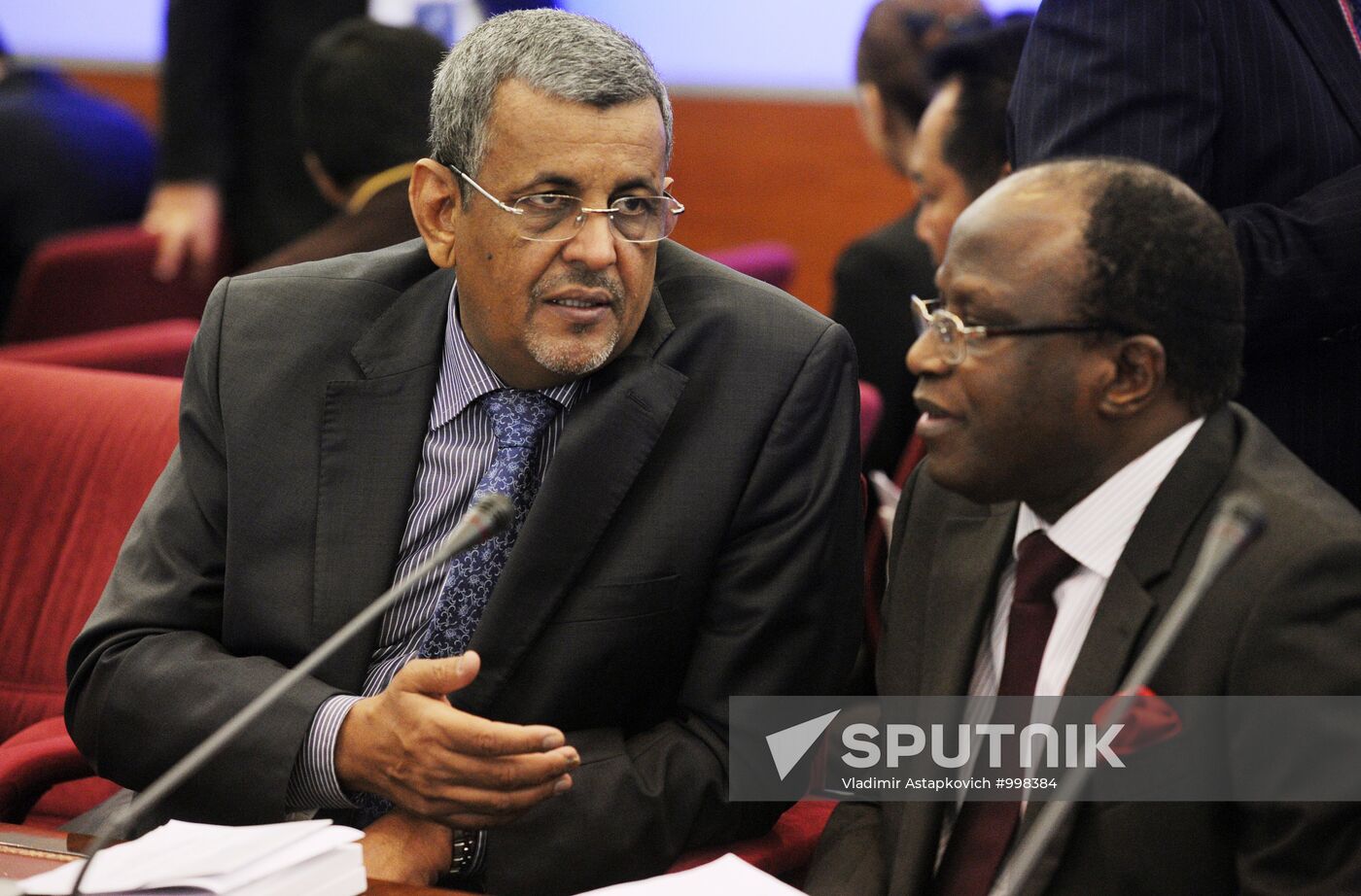 Observers monitor CEC operations during Russia's 2011 elections