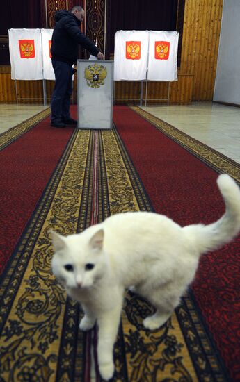 Russia votes in sixth State Duma elections