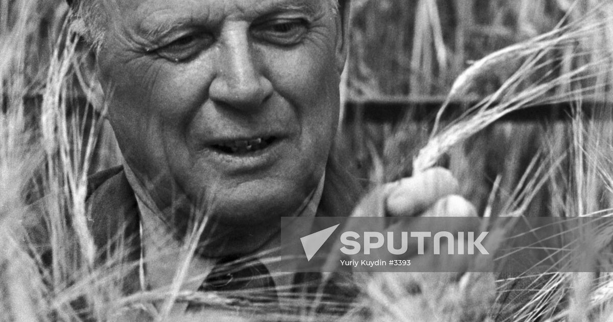 BARAYEV FIELD | Sputnik Mediabank