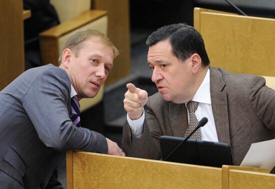 Duma's plenary meeting | Sputnik Mediabank
