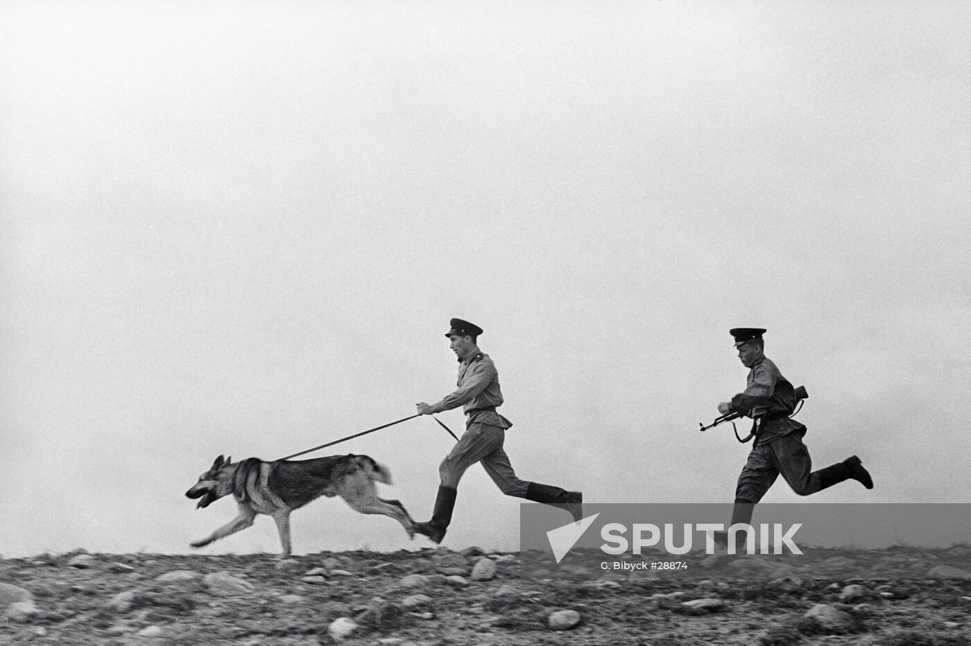 FRONTIER GUARDS DOG Sputnik Mediabank