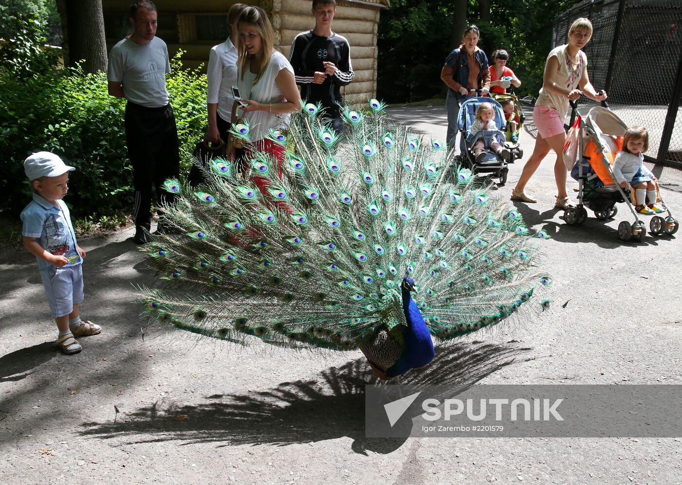 Kaliningrad zoo Sputnik Mediabank