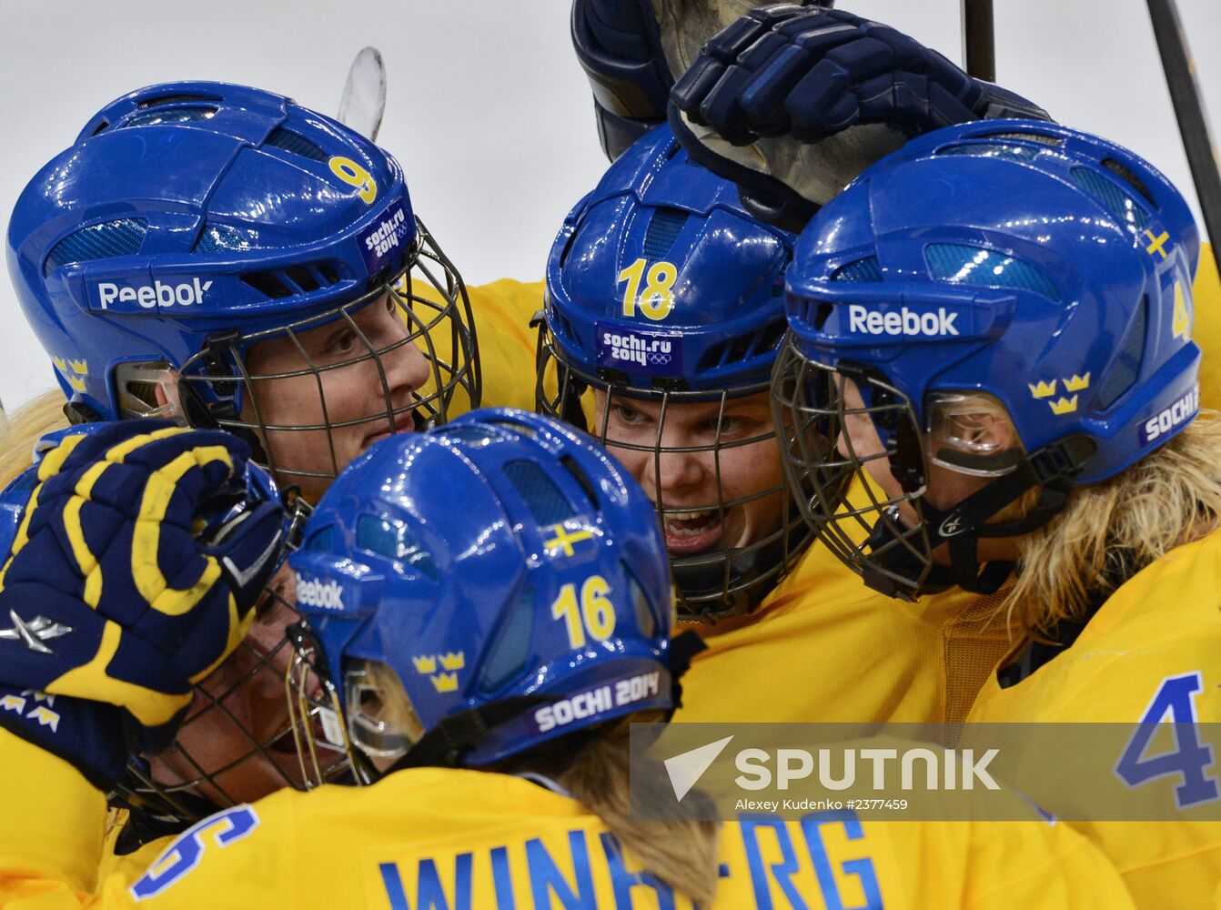 2014 Winter Olympics. Ice hockey. Women. USA vs. Sweden Sputnik Mediabank
