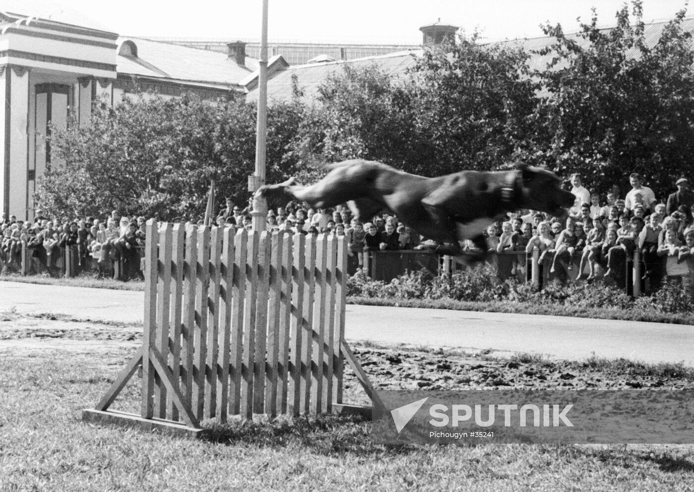GREAT DANE TRELLLIS FENCE EXHIBITION Sputnik Mediabank