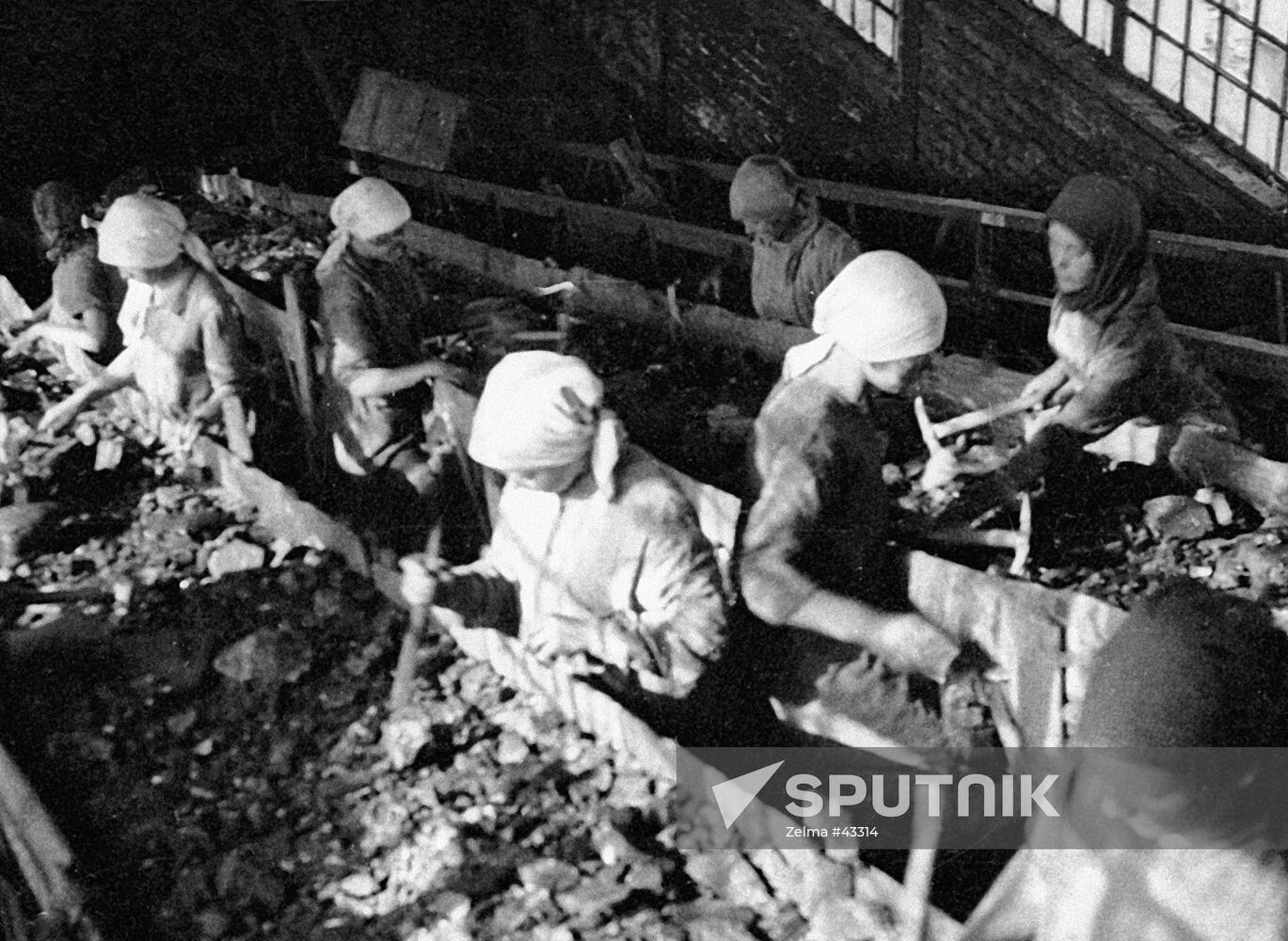 COAL GRADING MINE DONBASS Sputnik Mediabank