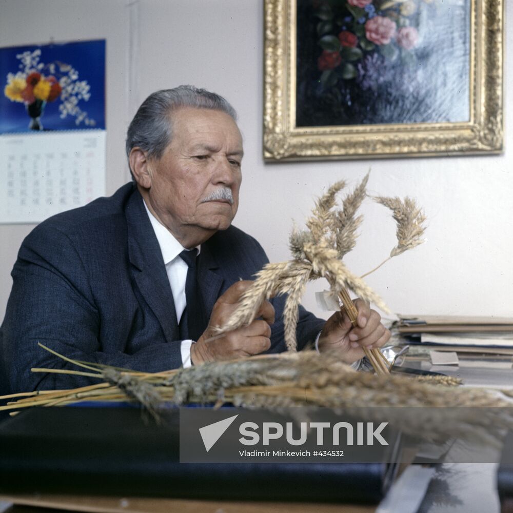 Nikolai Tsitsin | Sputnik Mediabank