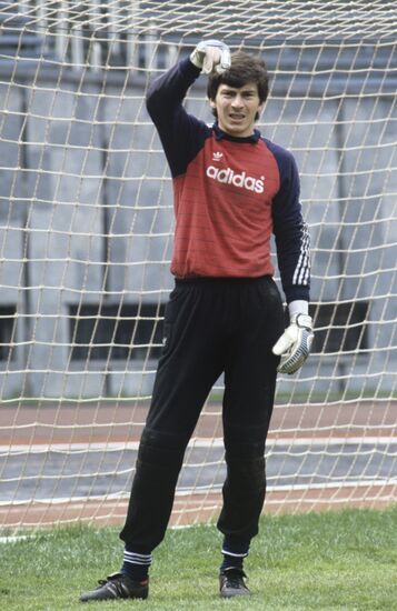 Dasaev goalkeeper shop