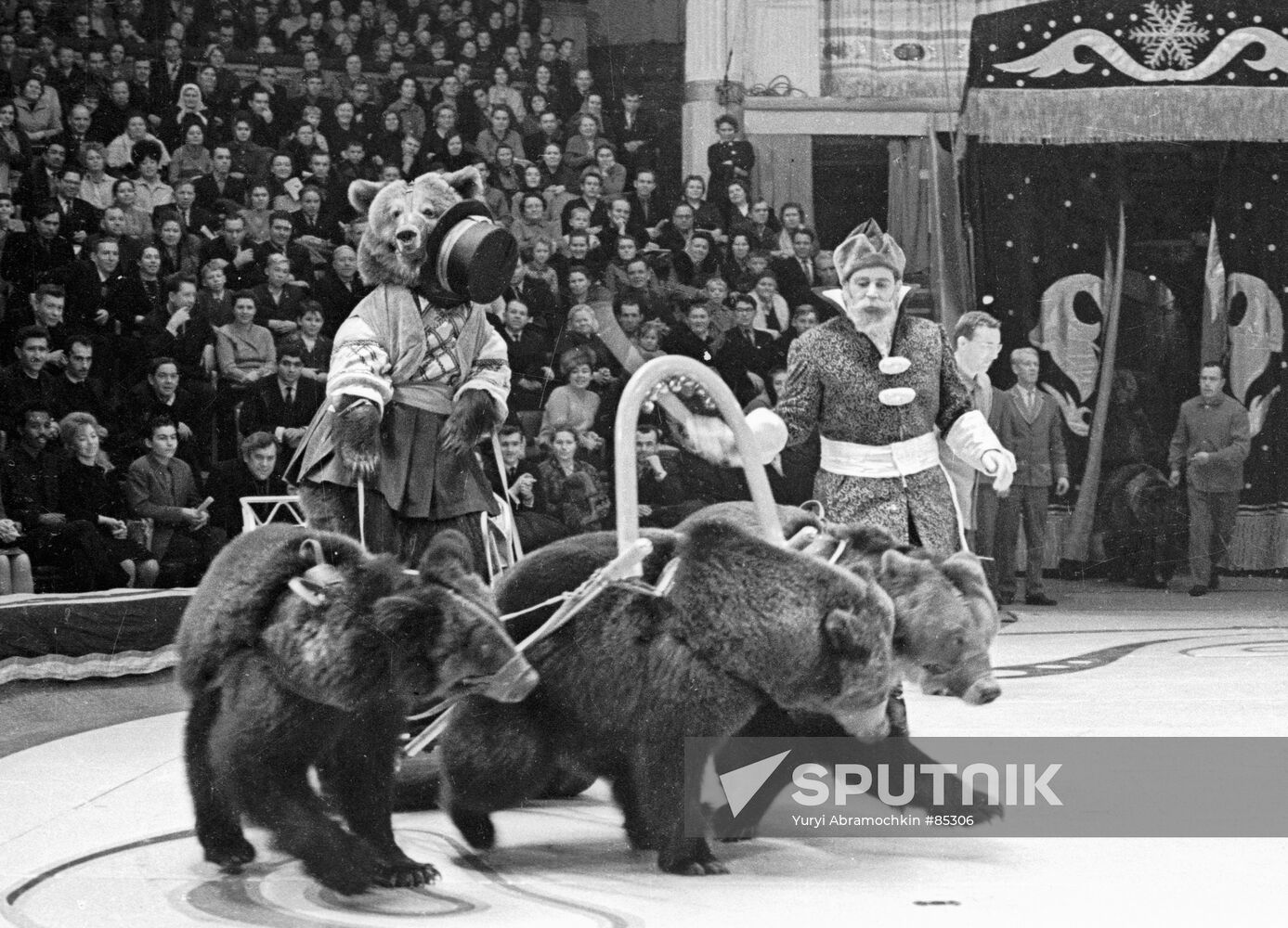 FILATOV BEARS CIRCUS Sputnik Mediabank