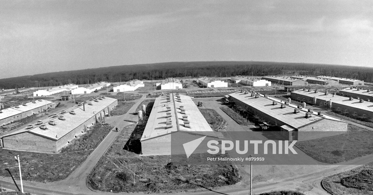 Hog fattening enterprise Sputnik Mediabank