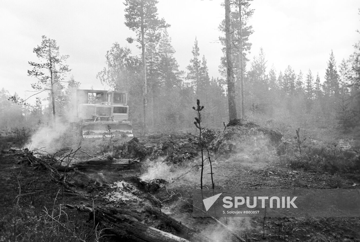Fighting Forest Fire Sputnik Mediabank fighting-forest-fire-sputnik-mediabank