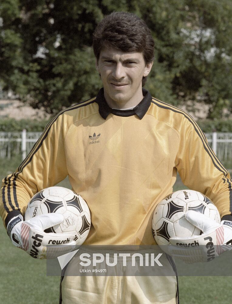 Dasaev goalkeeper hotsell