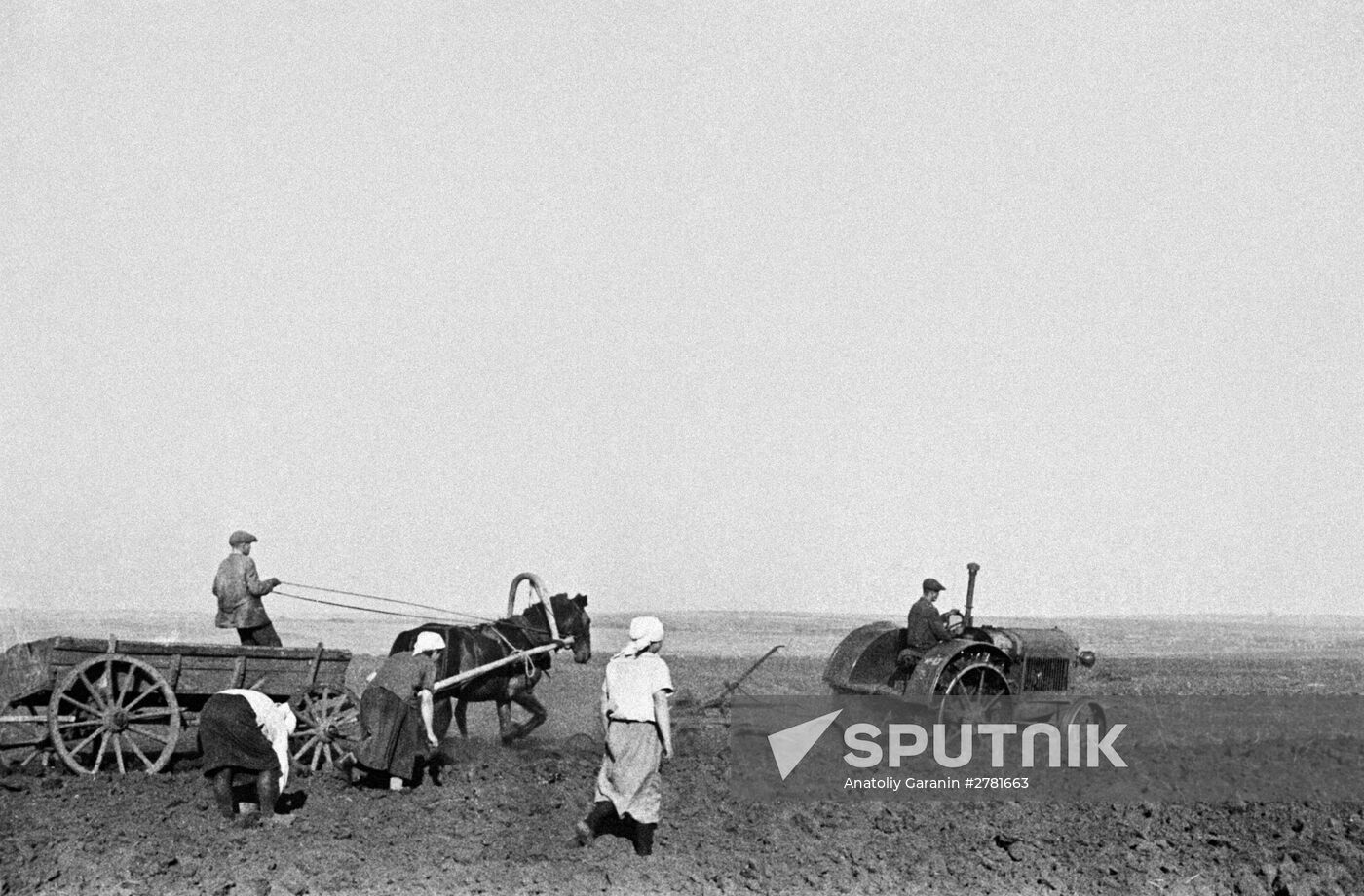 Sowing