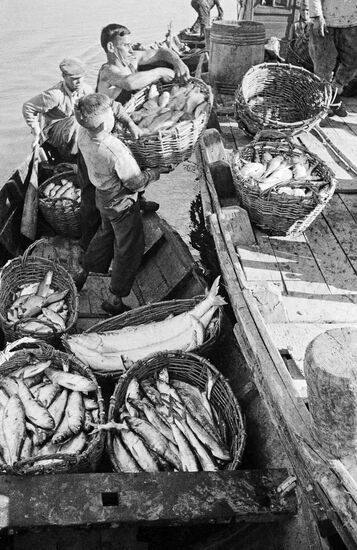 Fishing