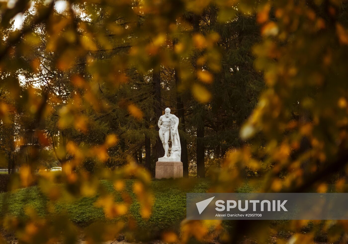 Golden fall in St. Petersburg