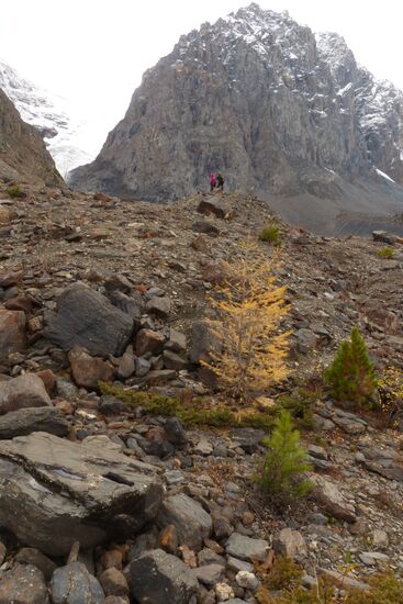 Fall in the Altai Mountains