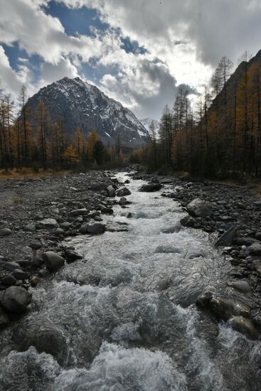 Fall in the Altai Mountains