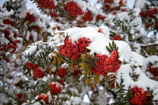 First snowfall in Omsk