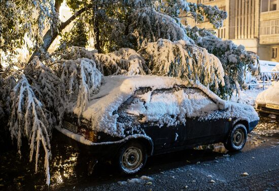 First snowfall in Omsk