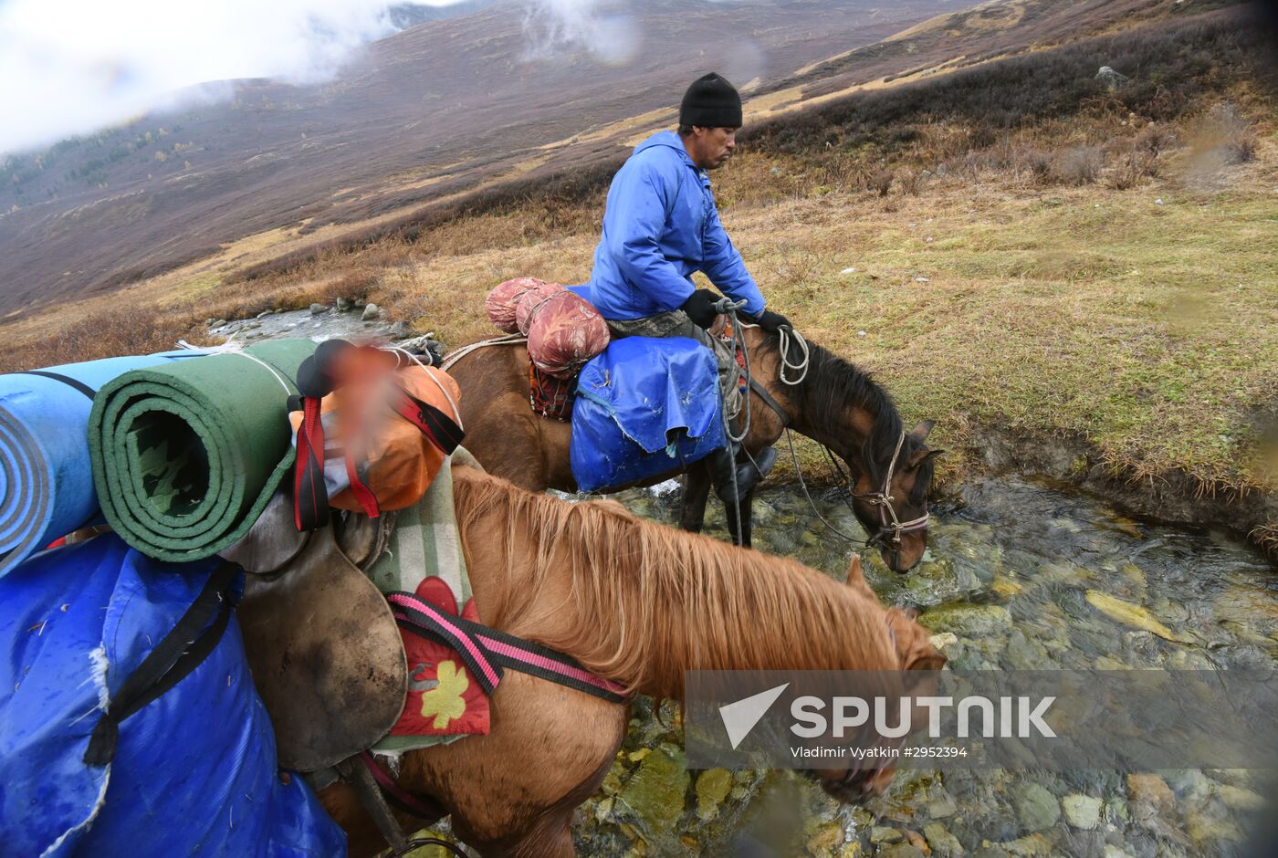 Fall in the Altai Mountains