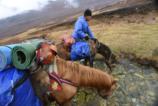 Fall in the Altai Mountains