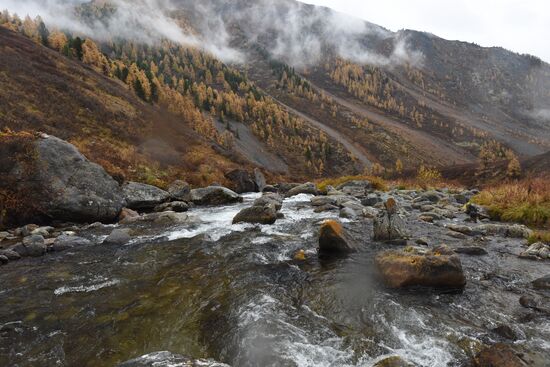 Fall in the Altai Mountains