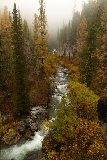 Fall in the Altai Mountains