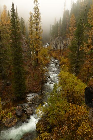 Fall in the Altai Mountains