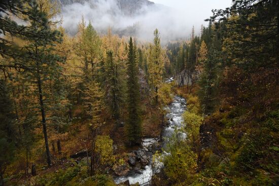 Fall in the Altai Mountains