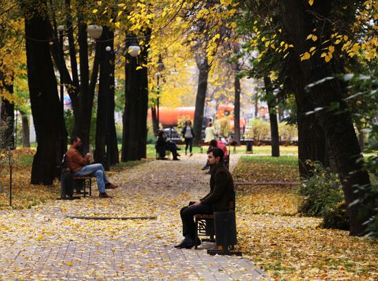 Golden fall in Voronezh