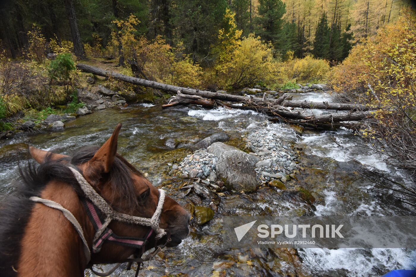 Fall in the Altai Mountains