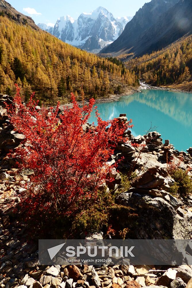 Fall in the Altai Mountains