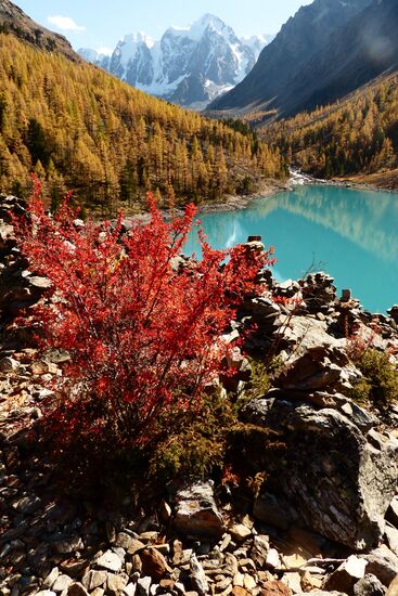 Fall in the Altai Mountains