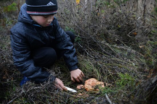 Mushroom picking in Chelyabisnk region