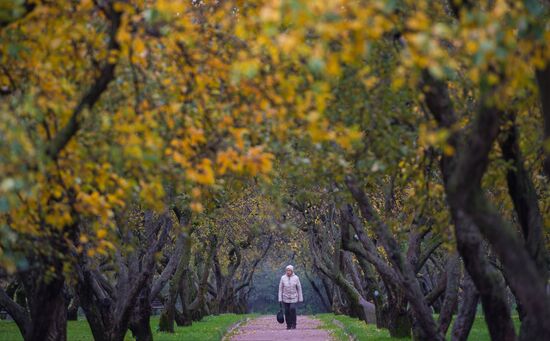 Fall in Moscow