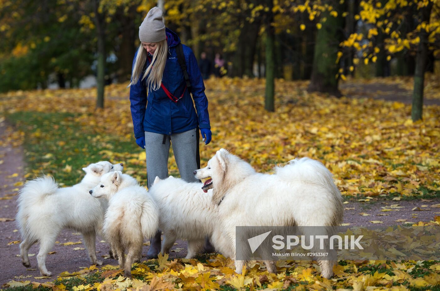 Fall in Moscow