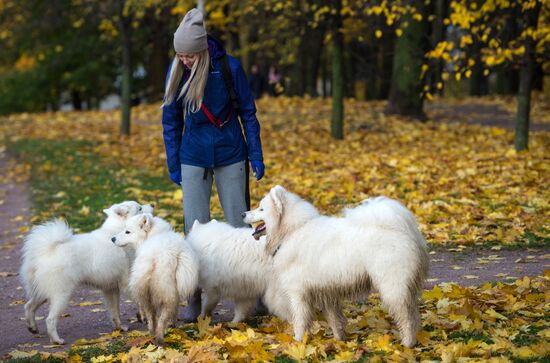 Fall in Moscow