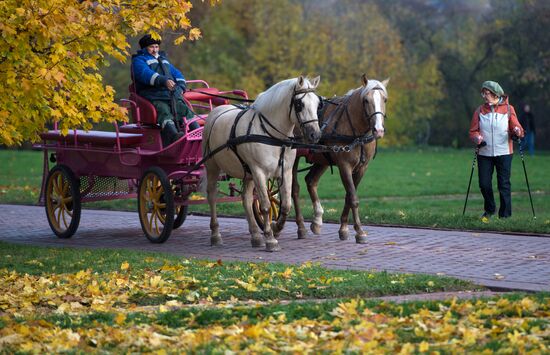 Fall in Moscow