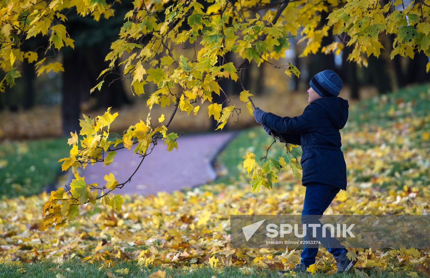 Fall in Moscow