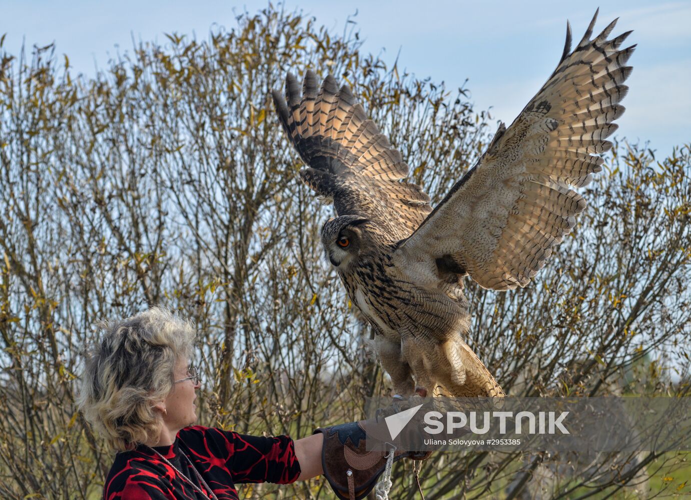 Raptor nursery in Galichya Gora nature reserve