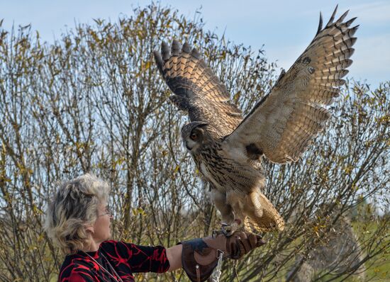 Raptor nursery in Galichya Gora nature reserve