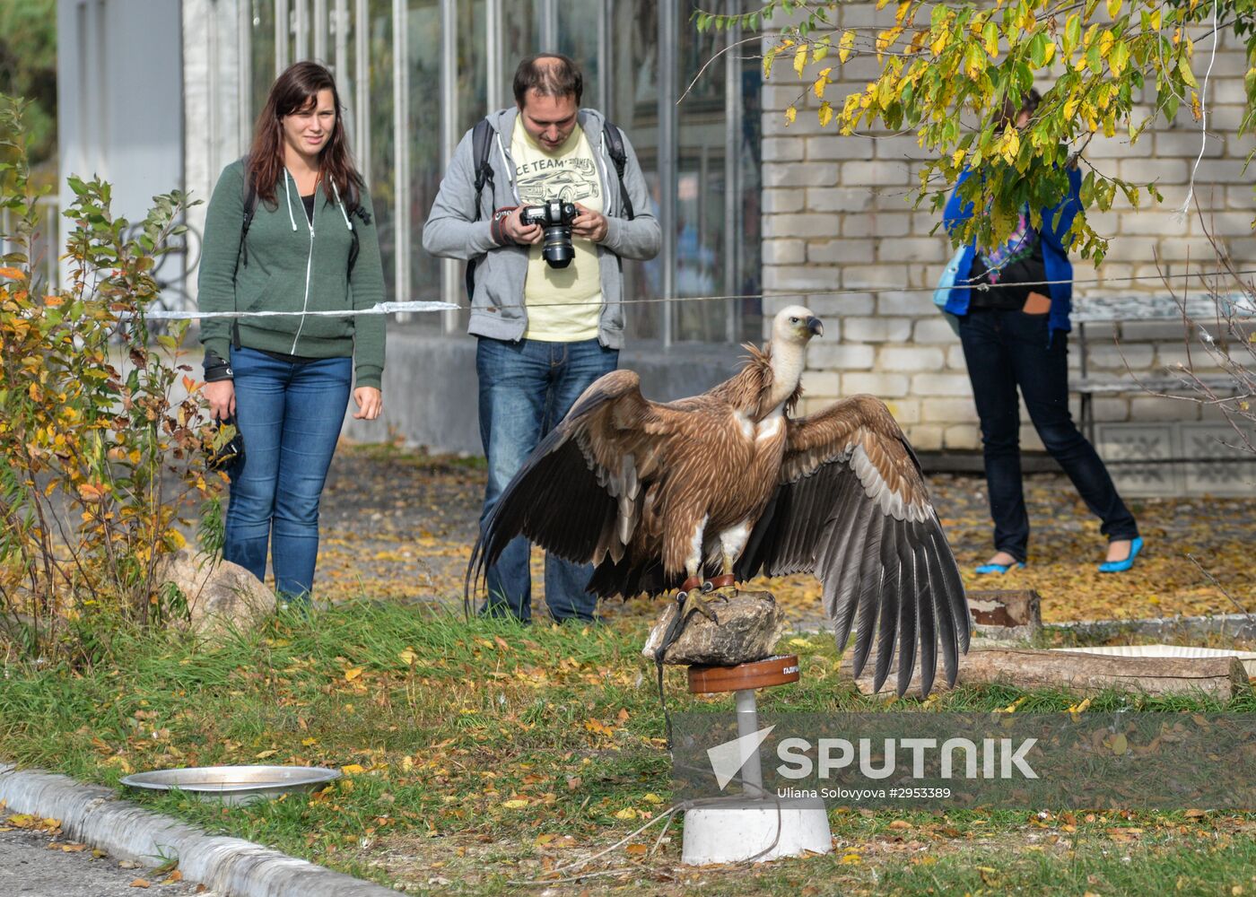 Raptor nursery in Galichya Gora nature reserve