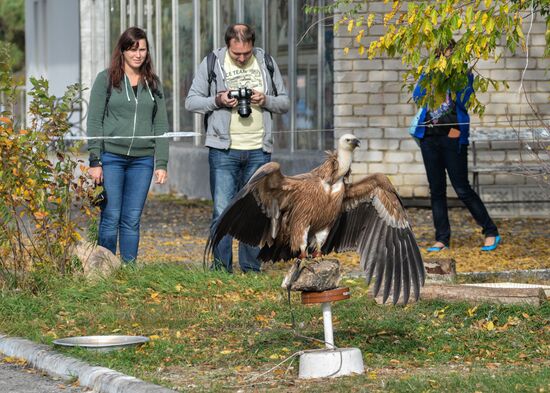 Raptor nursery in Galichya Gora nature reserve