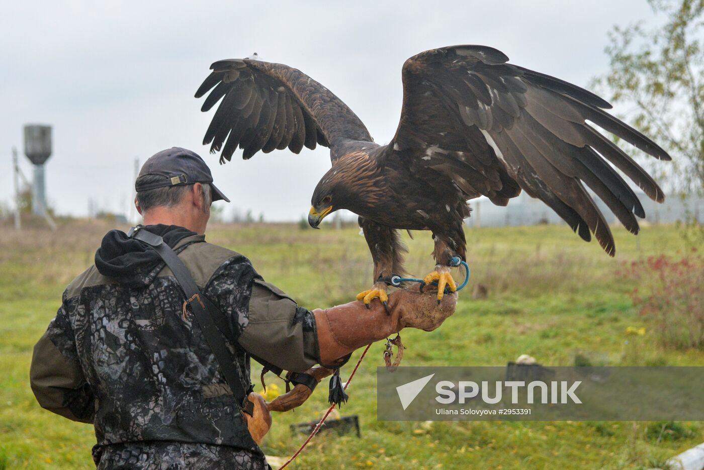 Raptor nursery in Galichya Gora nature reserve