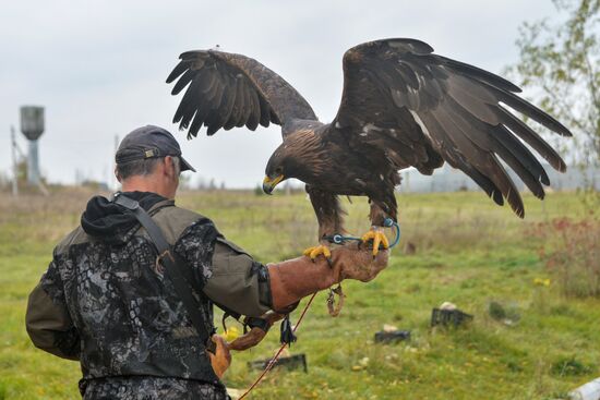 Raptor nursery in Galichya Gora nature reserve