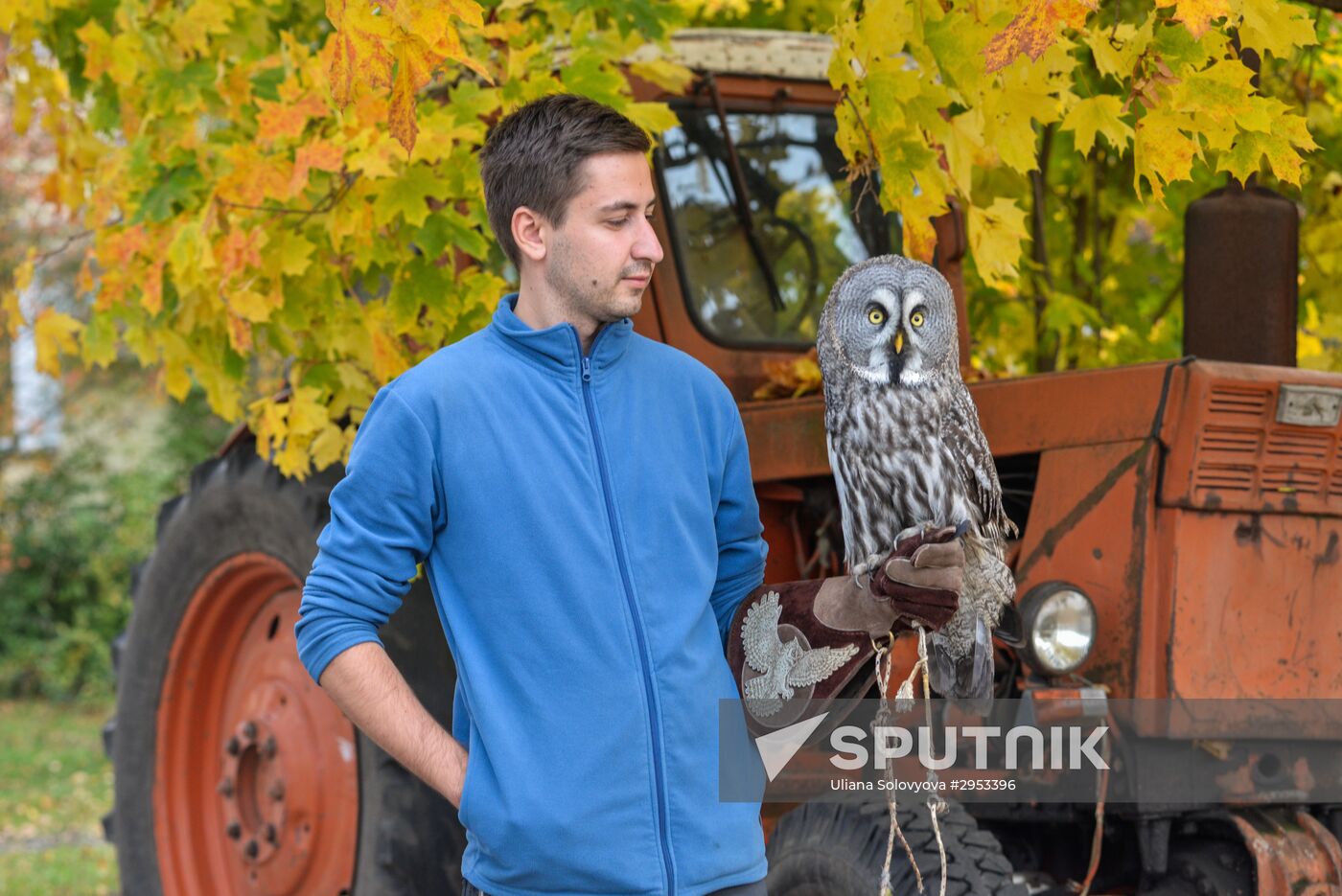 Raptor nursery in Galichya Gora nature reserve