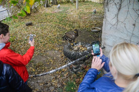 Raptor nursery in Galichya Gora nature reserve
